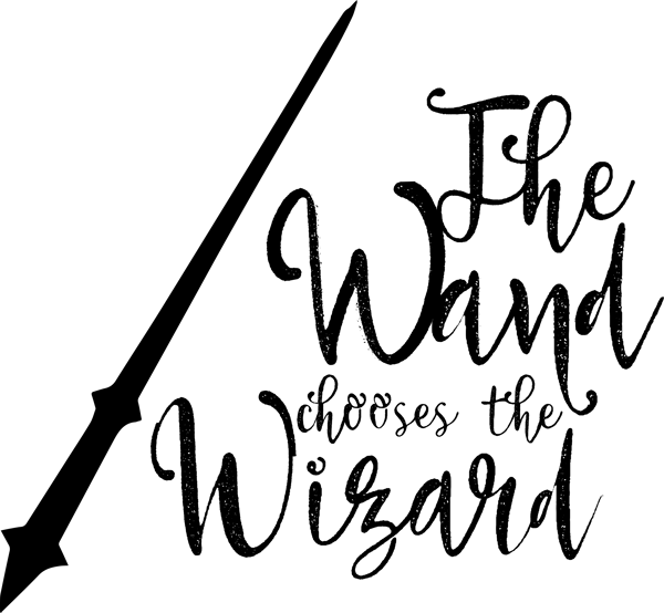 61.The wand choose the wizard.png