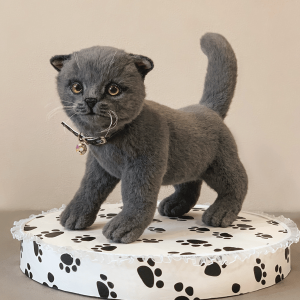 gray_kitten_toy.jpg