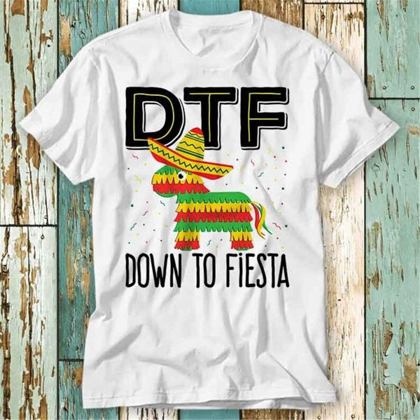 Womens Fishing Gifts - Down to Fish DTF Funny Fishing V-Neck T-Shirt