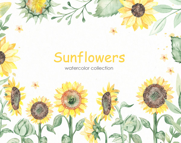 1 Sunflowers watercolor cover.jpg