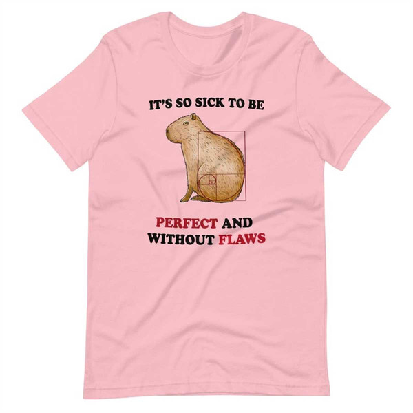 MR-2642023213649-perfectly-flawless-unisex-t-shirt.jpg