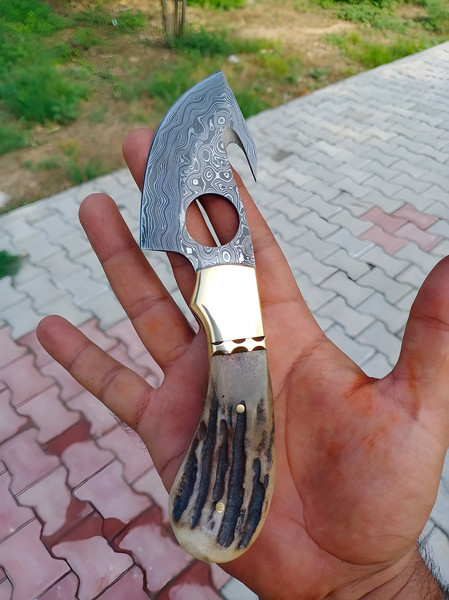 https://www.inspireuplift.com/resizer/?image=https://cdn.inspireuplift.com/uploads/images/seller_products/1682827867_The-Perfect-Combination-Handmade-Damascus-Gut-Hook-Knife-with-a-Stag-Antler-Handle-and-Leather-Sheath5.jpg&width=600&height=600&quality=90&format=auto&fit=pad