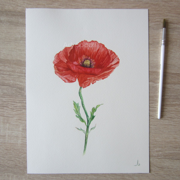 poppy field drawing