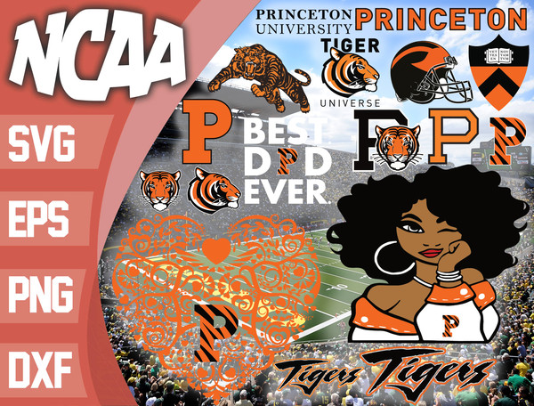Princeton Tigers.jpg
