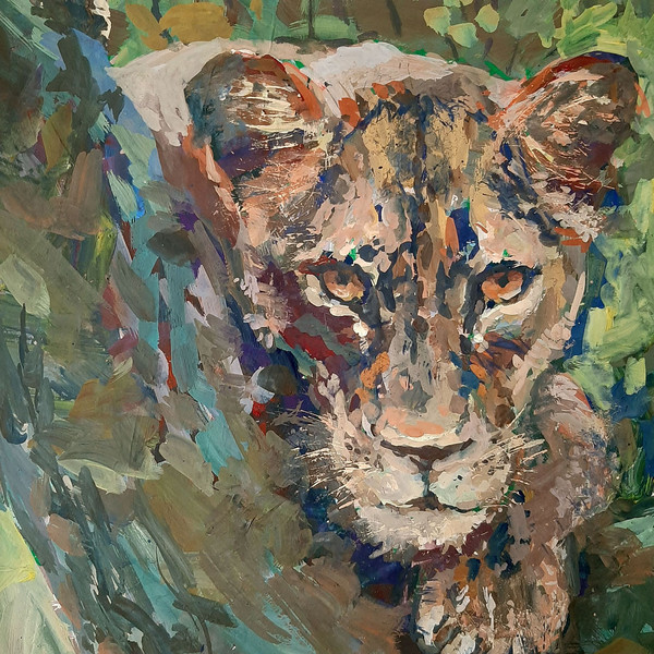 Attentive gaze of a Lioness. Fragment of a close-up wild animal art.