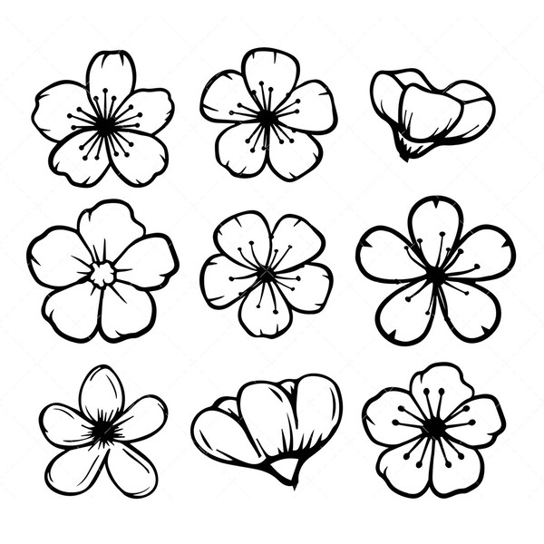 cherry-blossom-SVG-bundle-2a.jpg