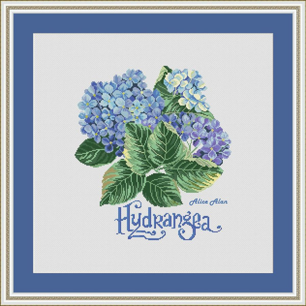 Hydrangea_e2.jpg