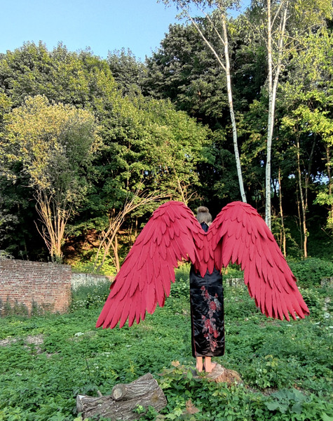 adult wings costume, Hawks costume, red angel wings, devil wings, final fantasy, articulating wings, anime cosplay wings, moving anime wings, movable wings, my 