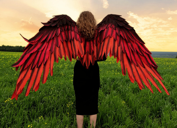 adult wings costume, red angel wings, devil wings, phoenix costume, articulating wings, red cosplay wings, moving anime wings, movable wings, wings of fire, pho