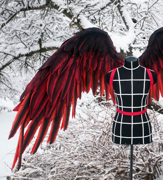 phoenix wings costume