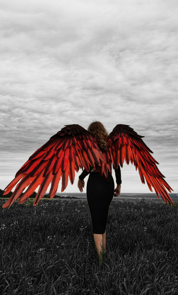 EVA Devil Wings, Red