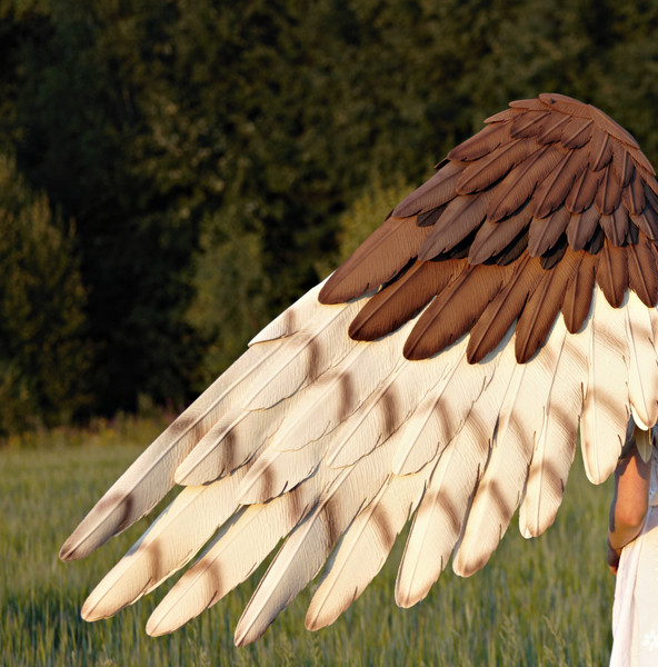 Ibarn owl wings, eagle cosplay wings, owl cosplay costume, falcon costume, wearable bird wings, bendable adult wings, bird's accessories, owl costume adult, har