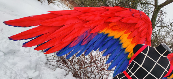 Scarlet Macaw Costume Feather Wings