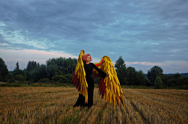 Hawkman wings costume, golden angel wings, wearable gold wings, gold cosplay wings, red and gold wings, articulating wings, black crow wings, large golden wings