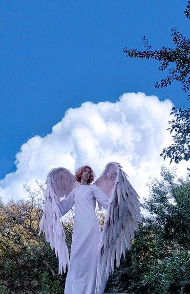 heavenly angel wings