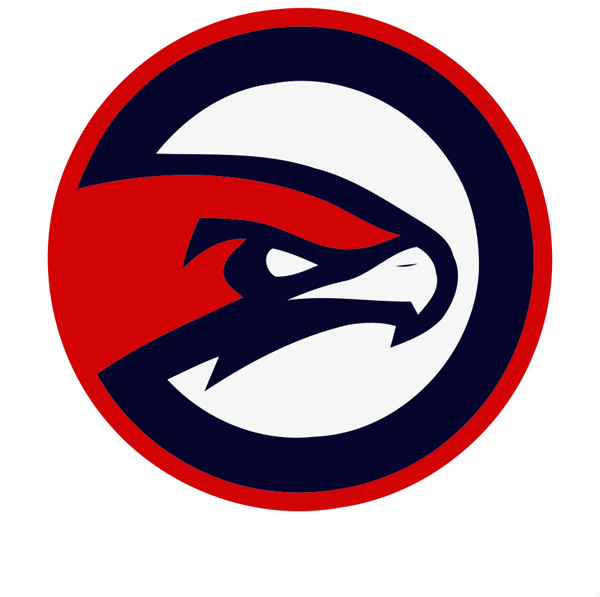 atlanta hawks logo vector