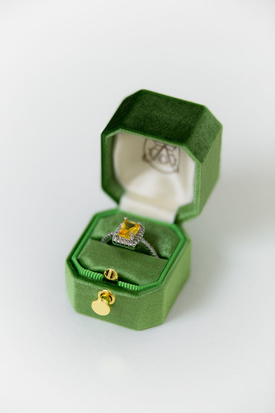 Bark-and-Berry-Petite-Forest-lock-octagon-vintage-wedding-embossed-engraved-enameled-monogram-velvet-ring-box-001.jpg