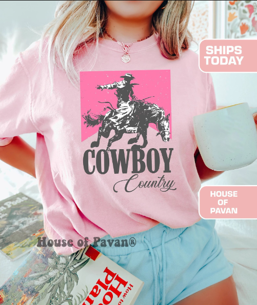 cowboy 1.png