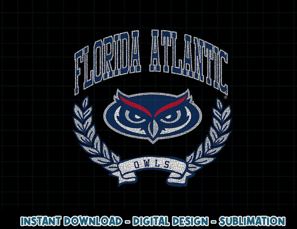 Florida Atlantic Owls Victory Vintage  .jpg