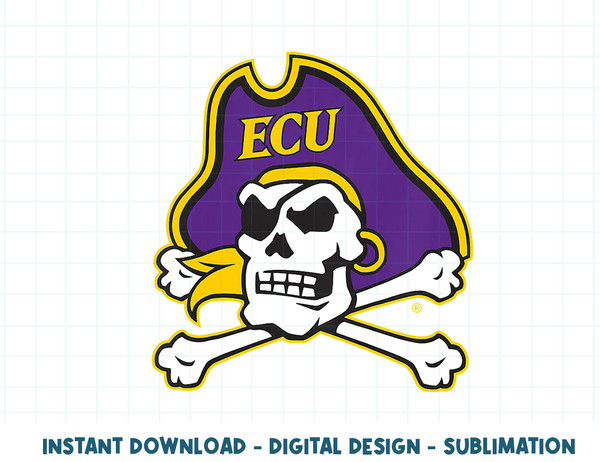 Kids East Carolina Pirates Icon Officially Licensed Youth Black  .jpg