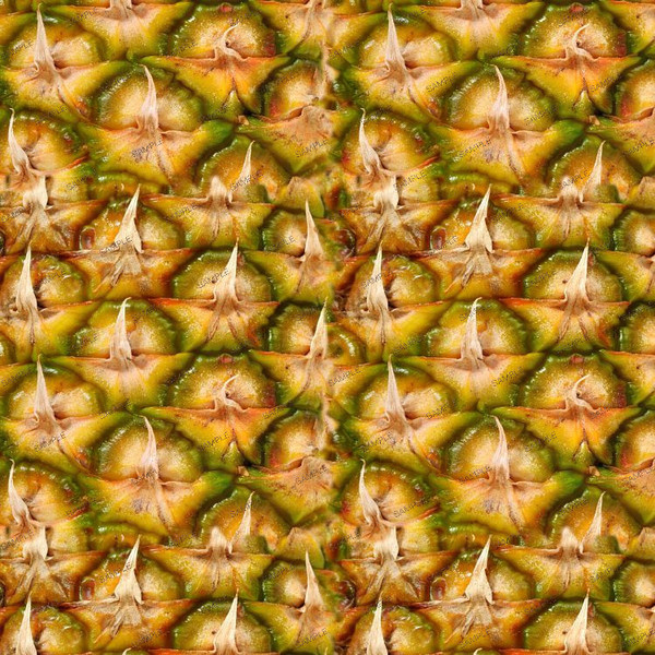 Pineapple Peel 24.jpg