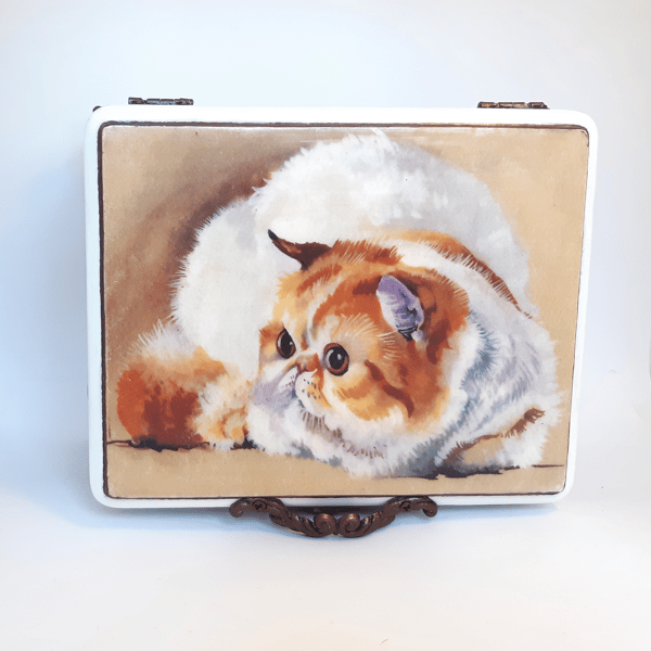 Wooden box with a painted cat . Brown jewelry box  (5).jpg