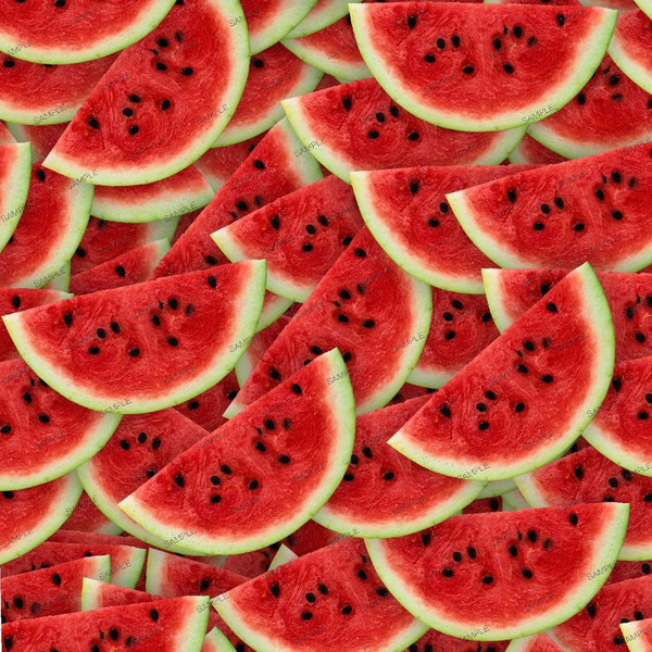 Watermelon Slices 22.jpg