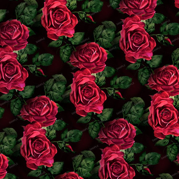 Roses 44.jpg