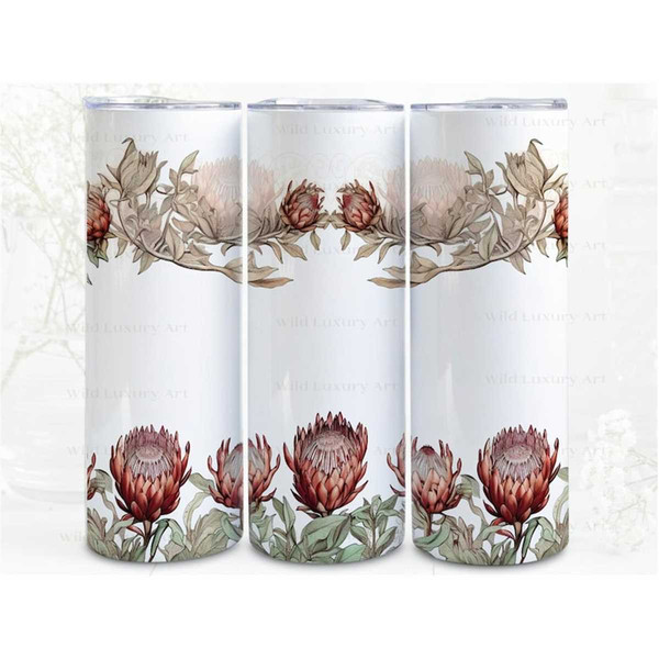 MR-662023114228-protea-borders-digital-art-sublimation-300dpi-straight-image-1.jpg