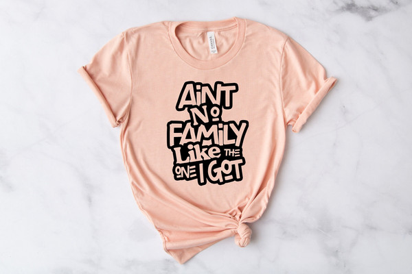 Ain't No Family Like The One Got, Family Shirts, Gathering Gift, Reunion Shirt, Matching Family Tshirt, Vacation T-Shirt, Best Friend Shirts - 1.jpg