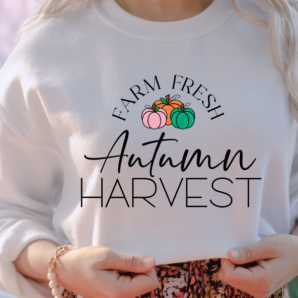 Farm Fresh Autumn Harvest Shirt Design, Autumns Svg, Autumn harvest svg, Harvesting svg, Farm Fresh Svg, Fall Sign Svg, Pumpkin Season Png - 4.jpg