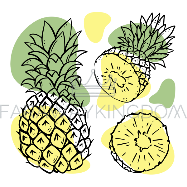 PINEAPPLE [site].png