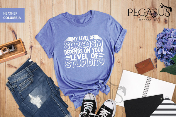 We Didn't Practice Social Distancing Maternity Shirt