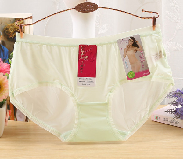2Pcs Ice Silk Panties Women's Underwear Seamless Comfort Bri - Inspire  Uplift