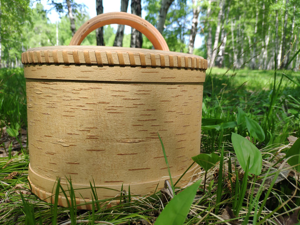 Birch bark box 2.jpg