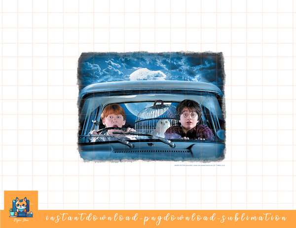 Harry Potter Ron & Harry In The Flying Car png, sublimate, digital download.jpg