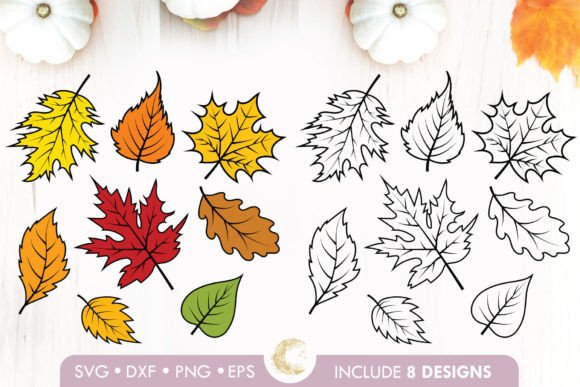 Realistic-Fall-Leaves-Bundle-Svg-Graphics-72052013-1-1-580x387.jpg