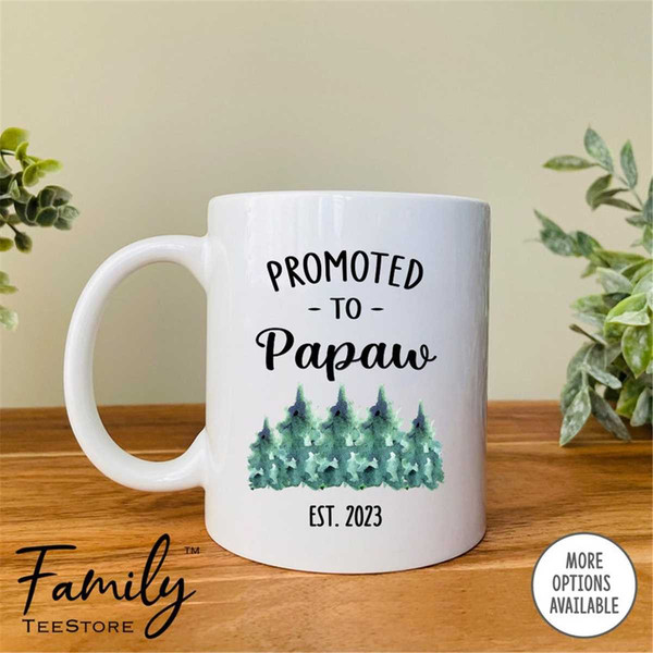 MR-2962023103034-promoted-to-papaw-est-2023-coffee-mug-papaw-gift-papaw-mug-all-white.jpg