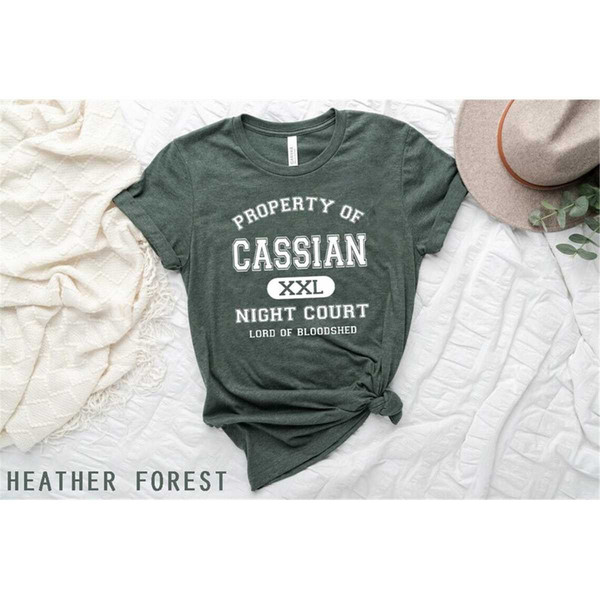 MR-2962023175017-property-of-cassian-shirt-acotar-acosf-shirt-sjm-bookish-image-1.jpg