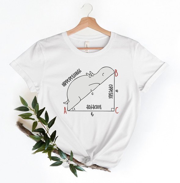 Funny Math T Shirt, Funny Hippopotenuse Shirt, Math Teachers Shirt, Teacher Shirt, Geometry Teacher Gift,Geometry Nerd Gift,Gift For Teacher - 3.jpg