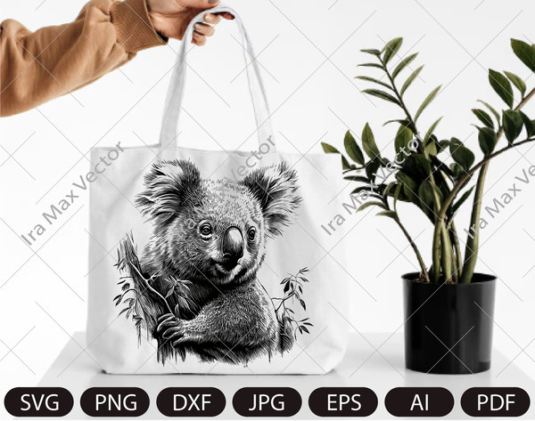 Koala clipart svg, Koala svg   Cute koala bear, Animals for