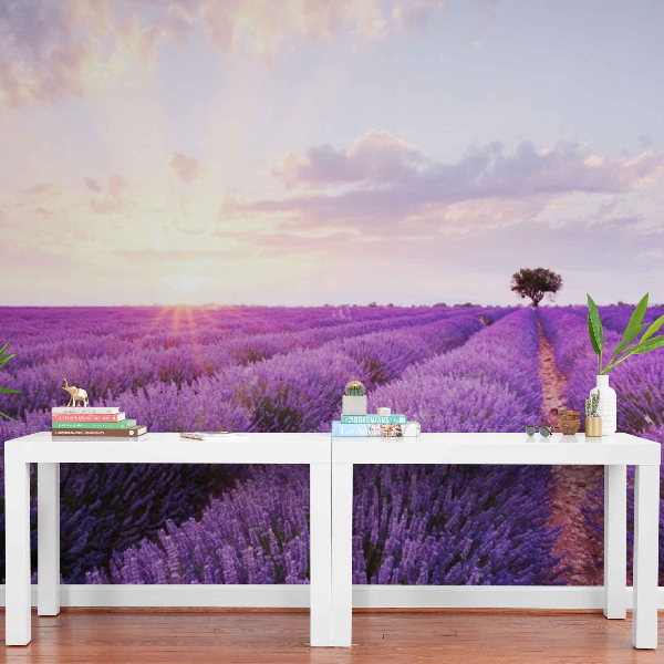 Lavander-wall-murals.jpg