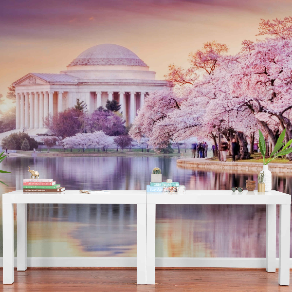 jefferson-memorial-wall-mural-peel-and-stick.jpg