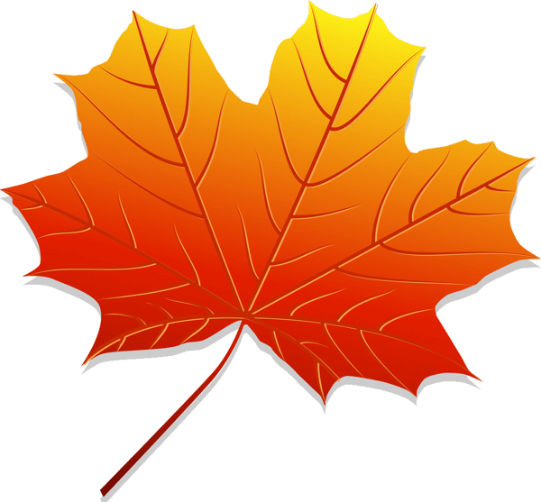 Leaves (6).png