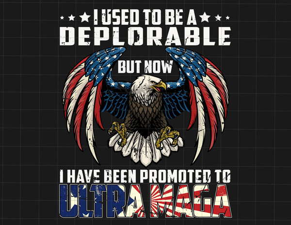 I Used To Be A Deplorable Png, Trump 2024 Png, Awakened Patriot Png, American Eagle Png, Trump Biden American Flag Png, Trump Supporter Png - 1.jpg