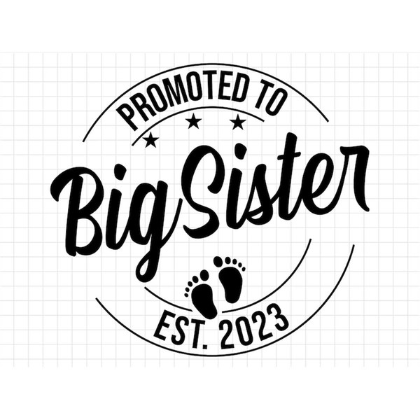 MR-21720239589-promoted-to-big-sister-svg-png-baby-announcement-svg-big-image-1.jpg
