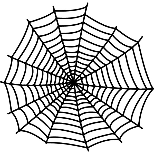 spiderweb-18.jpg