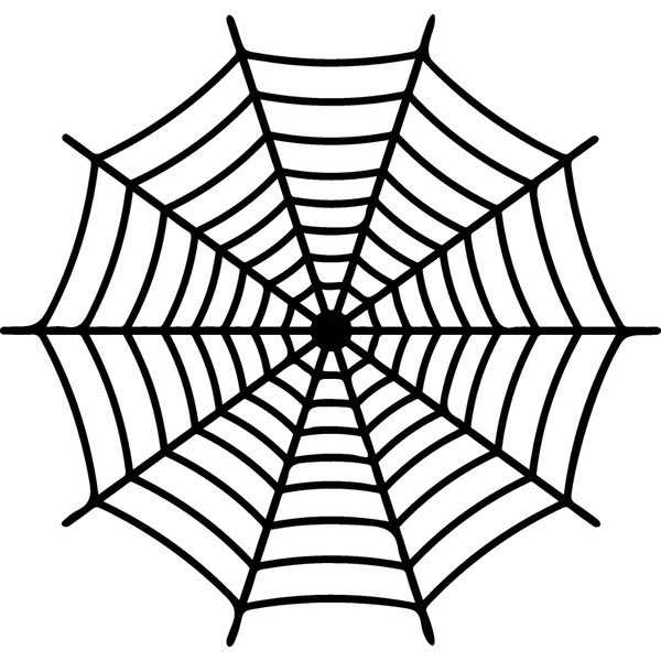 spiderweb-20.jpg