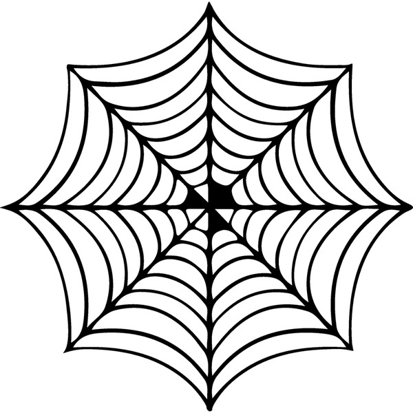 spiderweb-29.jpg