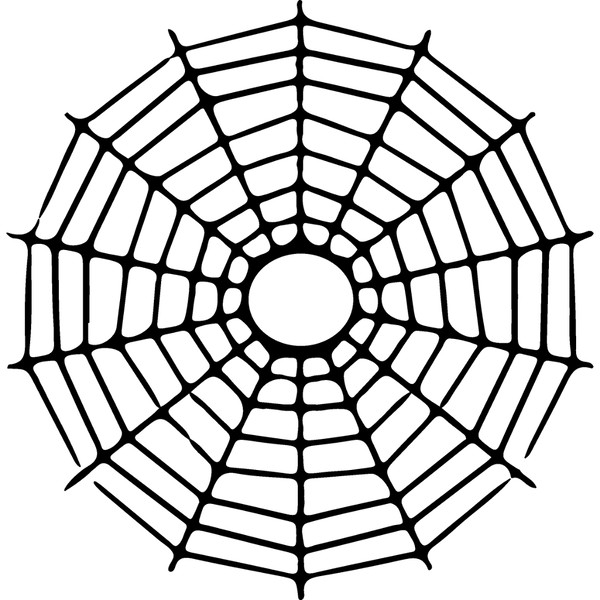 spiderweb-34.jpg